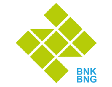 BNK BNG Logo