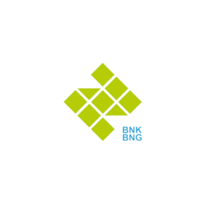 Das BNK BNG Logo