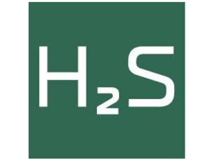 Logo H2S