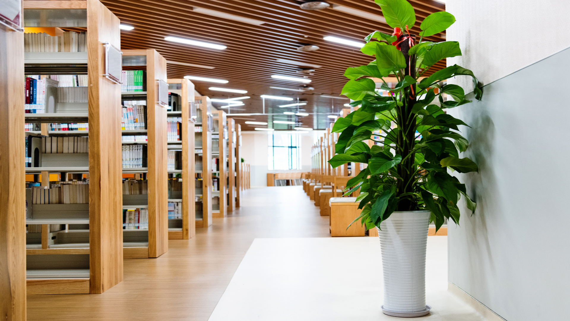 Eine öffentliche Bibliothek mit Bücherregalen, die in Reihen aufgestellt sind.